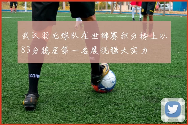 武汉羽毛球队在世锦赛积分榜上以83分稳居第一名展现强大实力