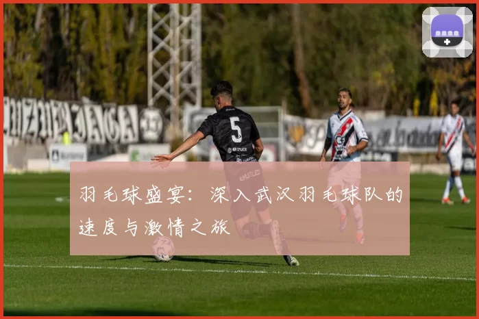羽毛球盛宴：深入武汉羽毛球队的速度与激情之旅