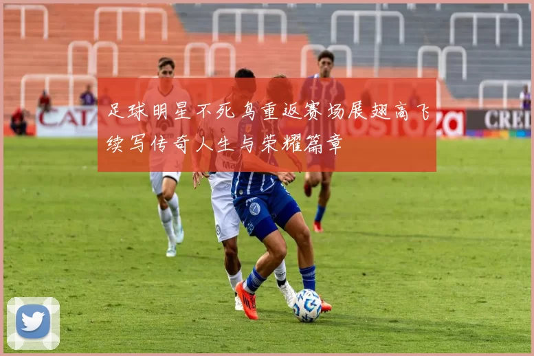 足球明星不死鸟重返赛场展翅高飞续写传奇人生与荣耀篇章