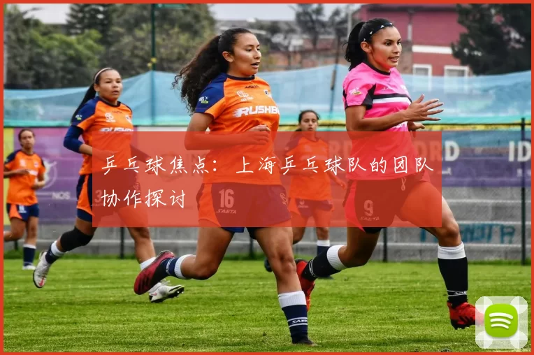 乒乓球焦点：上海乒乓球队的团队协作探讨