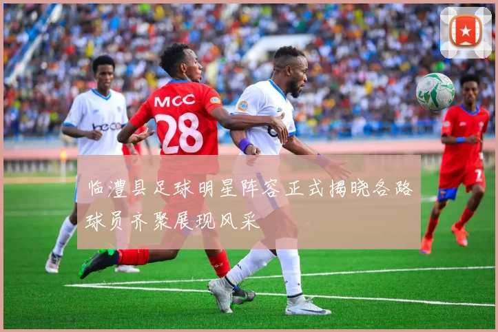 临澧县足球明星阵容正式揭晓各路球员齐聚展现风采