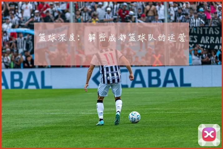 篮球深度：解密成都篮球队的运营