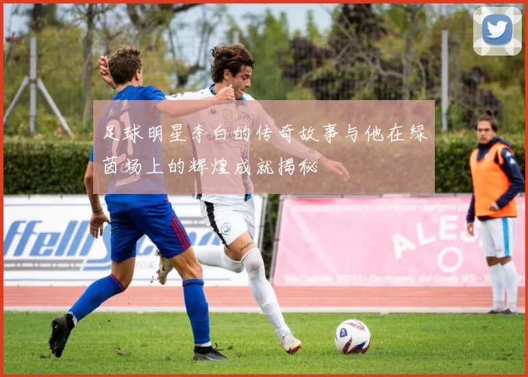 足球明星李白的传奇故事与他在绿茵场上的辉煌成就揭秘