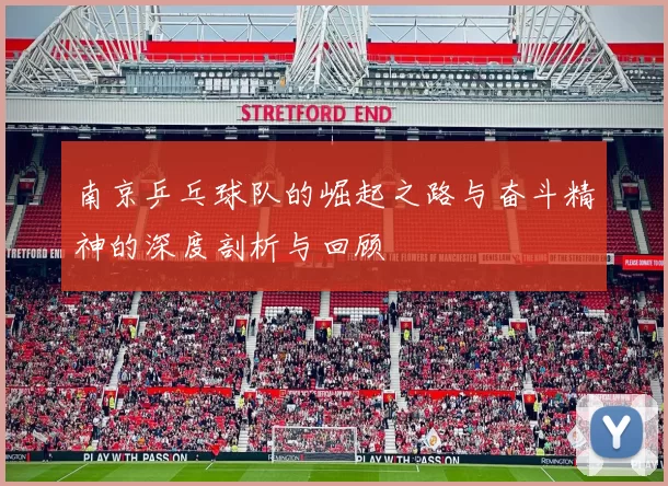 南京乒乓球队的崛起之路与奋斗精神的深度剖析与回顾