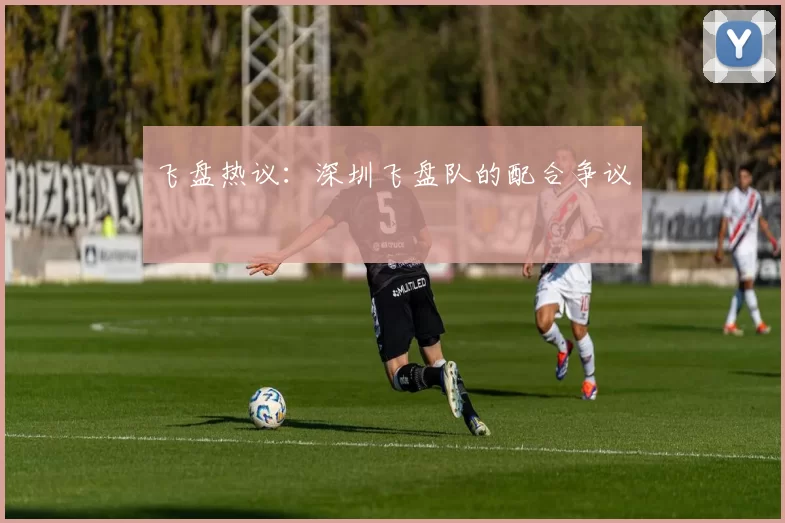 飞盘热议：深圳飞盘队的配合争议